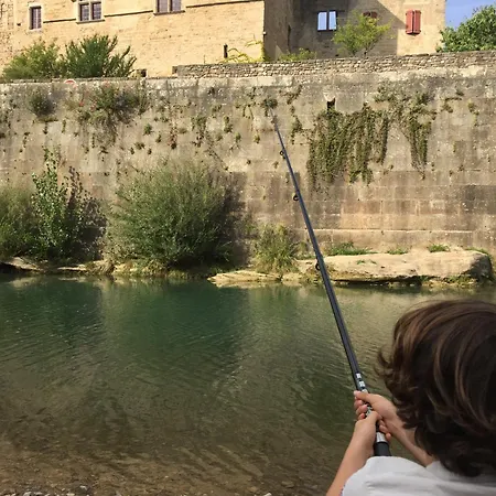 Orman Evi L'eco Libri
