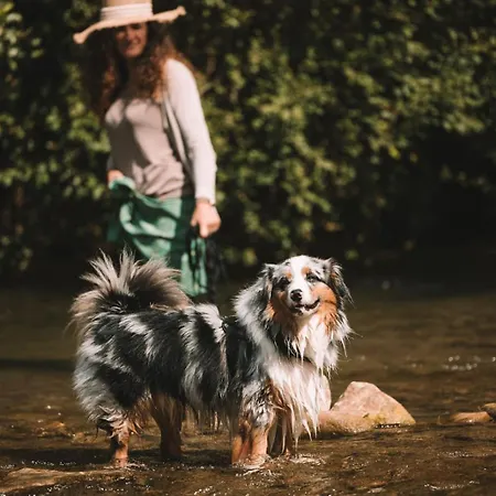 L'eco Libri Orman Evi Versols-et-Lapeyre