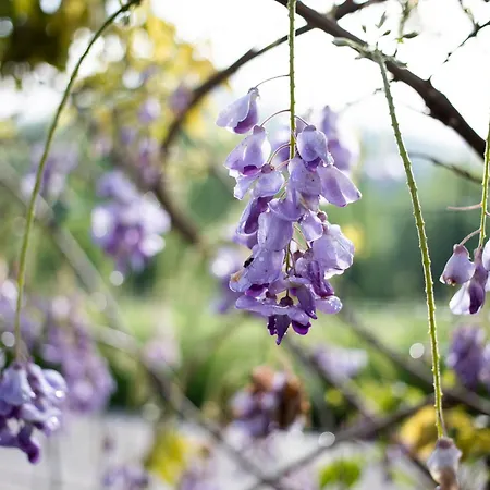 Gerendaház L'eco Libri Versols-et-Lapeyre
