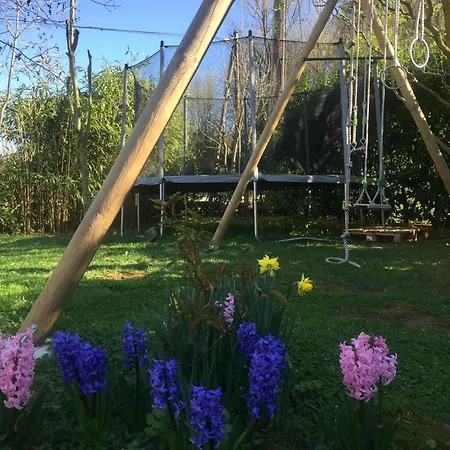 Orman Evi L'eco Libri *