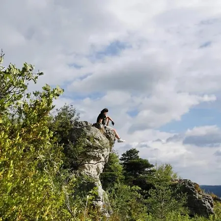 Orman Evi L'eco Libri