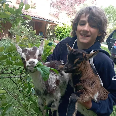 L'eco Libri Orman Evi Versols-et-Lapeyre