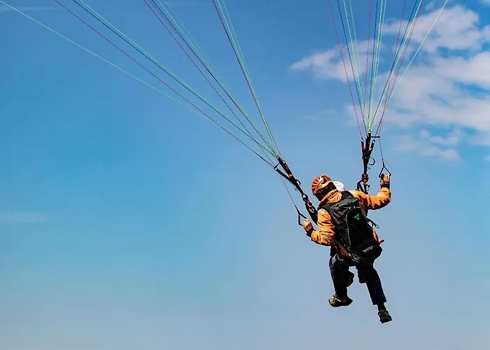 L'eco Libri Gerendaház *