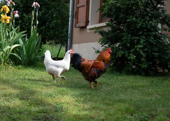 L'eco Libri * Versols-et-Lapeyre