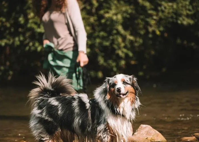 L'eco Libri Gerendaház Versols-et-Lapeyre