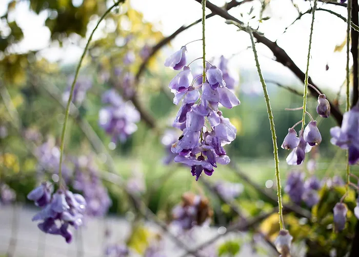 Gerendaház L'eco Libri Versols-et-Lapeyre