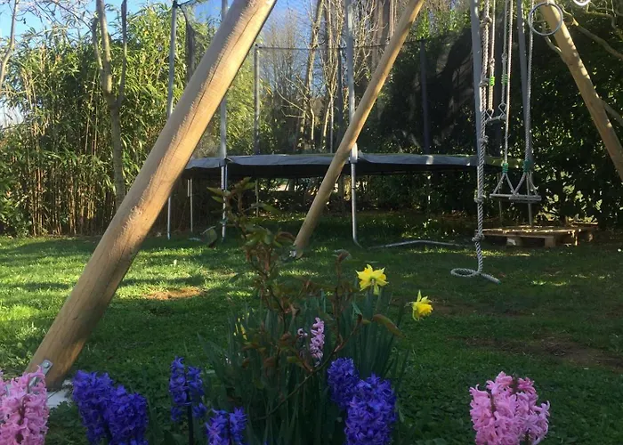 Gerendaház L'eco Libri *