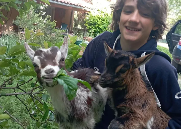 L'eco Libri Gerendaház Versols-et-Lapeyre